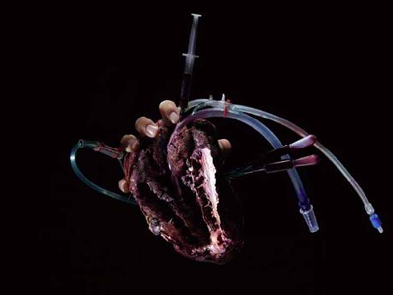 2015創作社‧愛不冬眠│關於「創作社‧愛不冬眠」