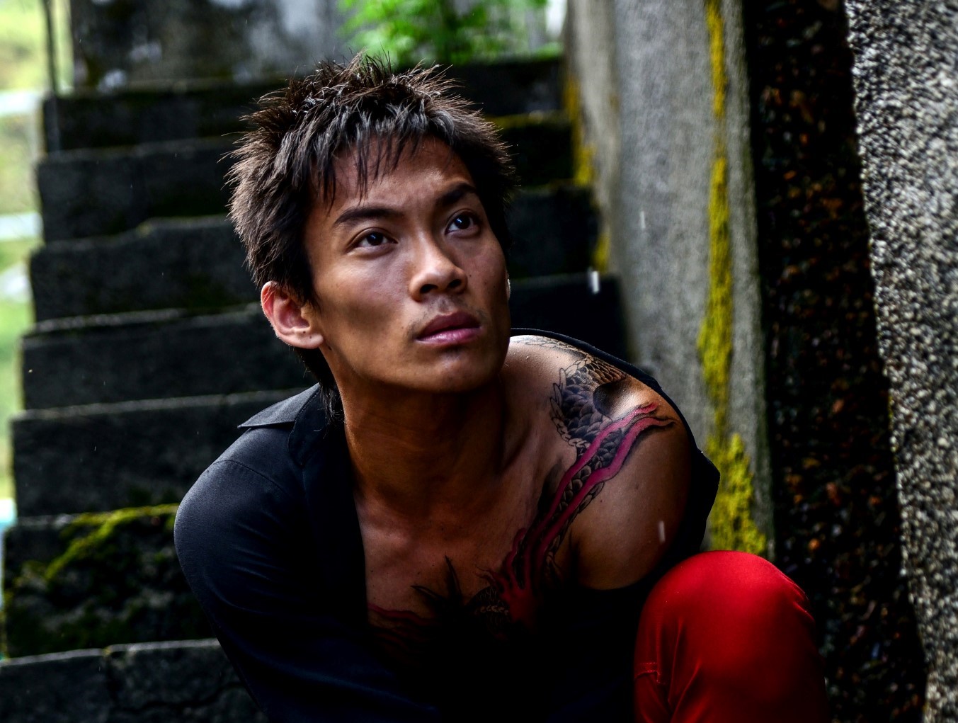 2020《孽子》│2014 TIFA首演好評與迴響